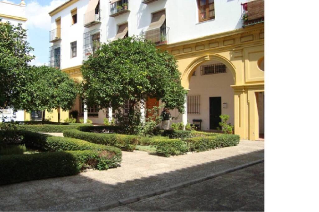 Centrico Y Amplio Apartamento 100% Equipado Jerez de la Frontera Eksteriør billede